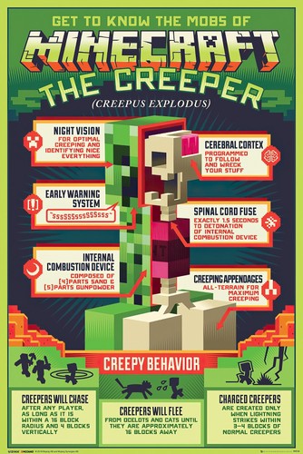 Minecraft gaming poster the - -, (the